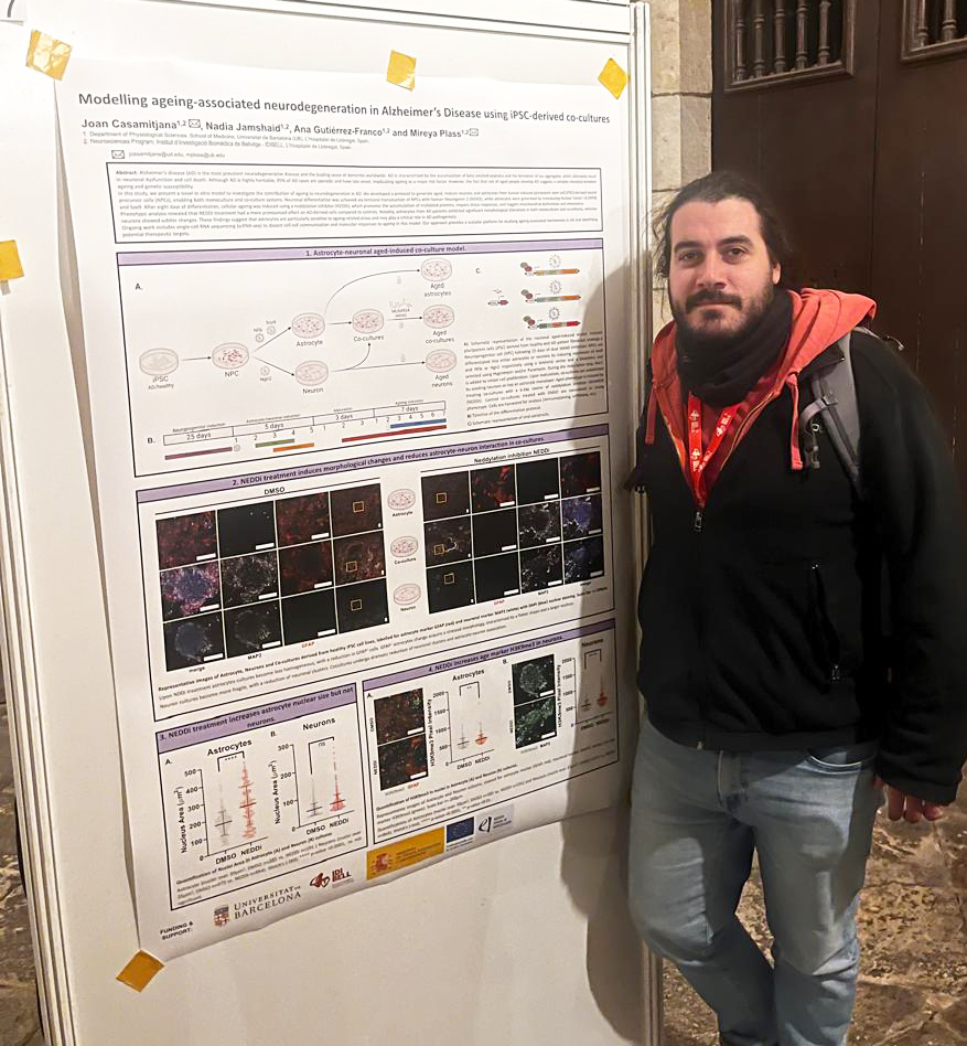 fot_lab